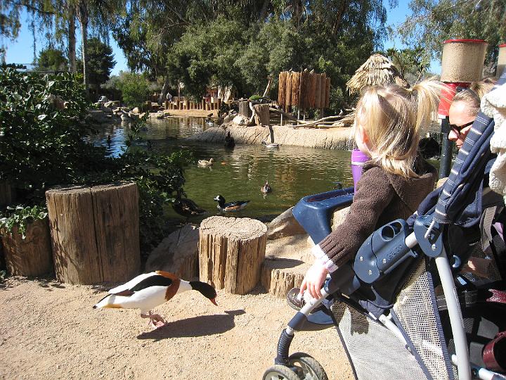 2nd Birthday at the zoo 01.JPG